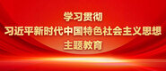 美女被男人操的网站学习贯彻习近平新时代中国特色社会主义思想主题教育_fororder_ad-371X160(2)